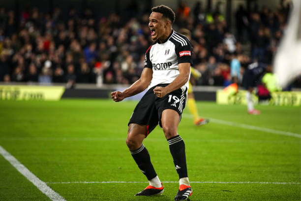 生涯初期面 生涯初期面